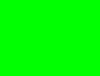 mono_green2.gif